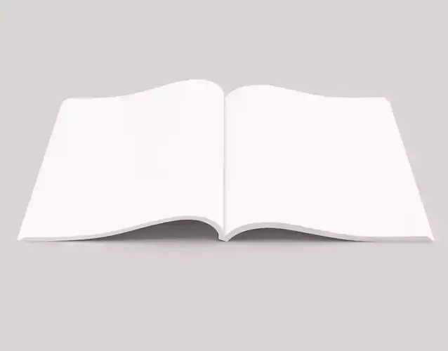 Opened magazine 3D model