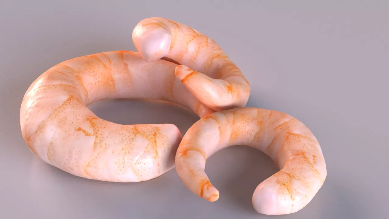 Peeled Cooked Shrimp Prawn set asset Free low-poly 3D model