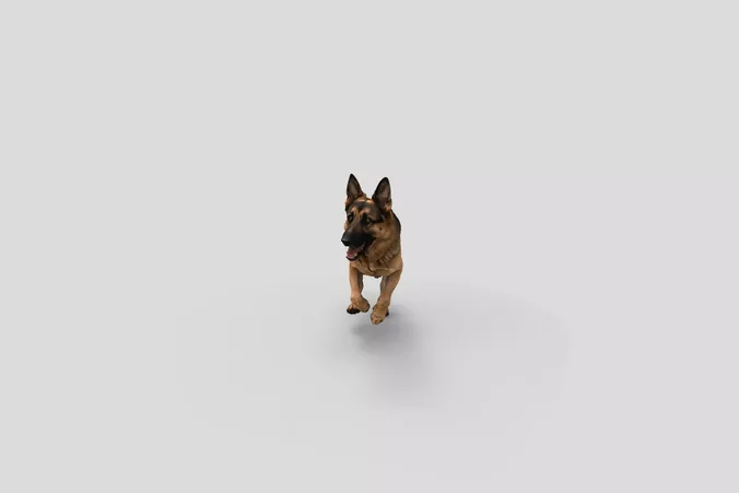 Realistic GermanShepherd Running Dog 3D Model
