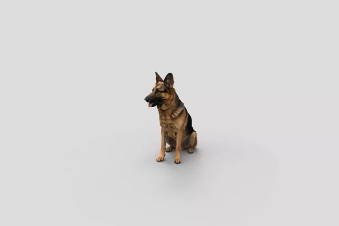  Realistic GermanShepherd Sitting Dog 3D Model