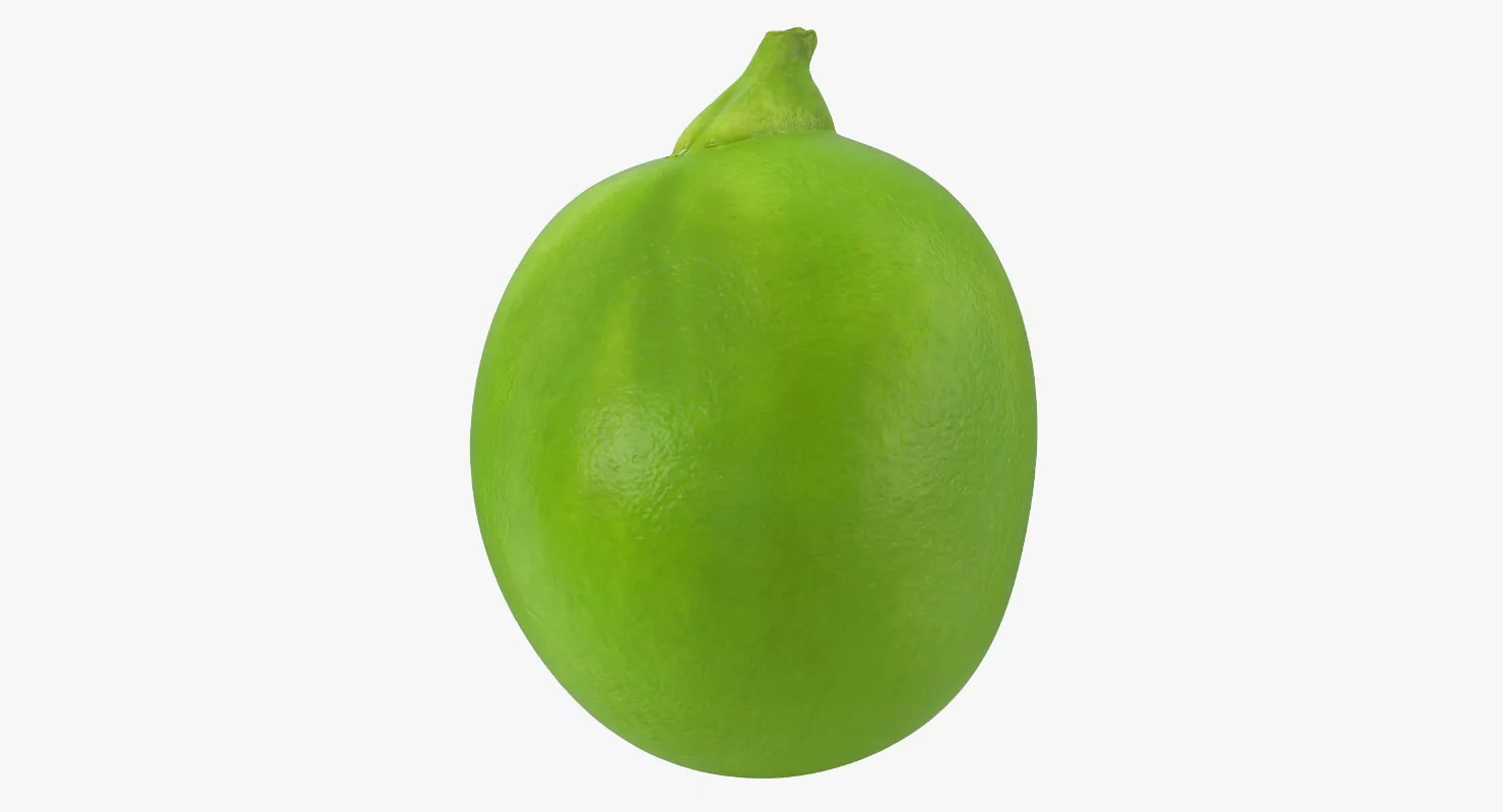 Single Green Pea 3D model