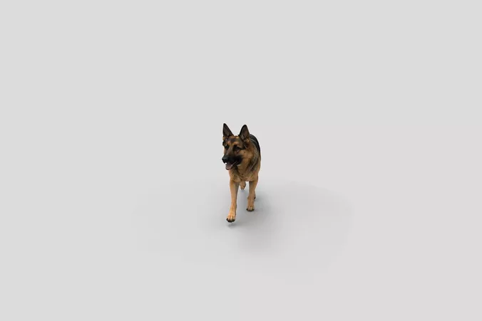  Realistic GermanShepherd Walking Dog 3D Model