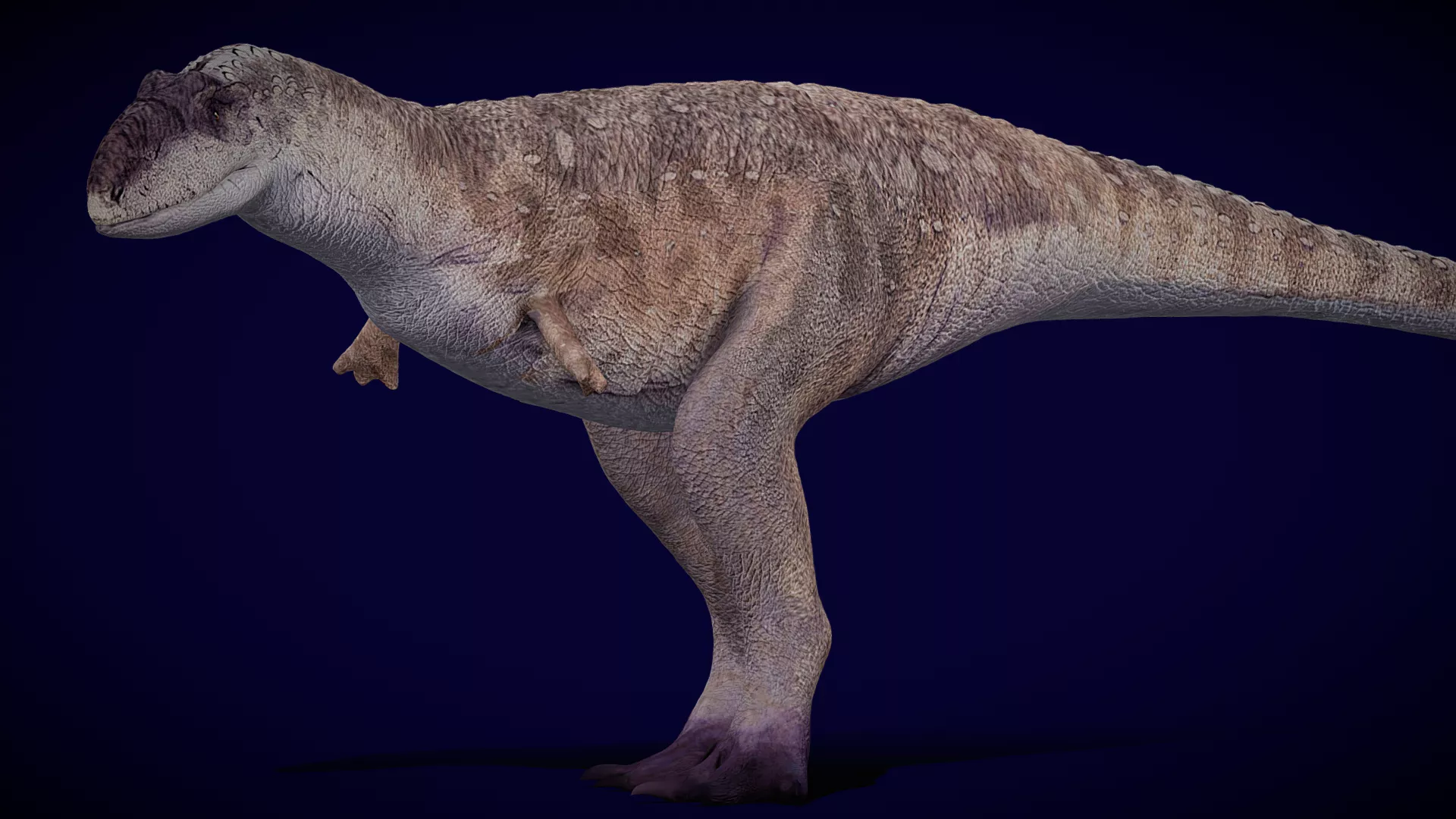 Animated Rajasaurus Free Free low-poly 3D model