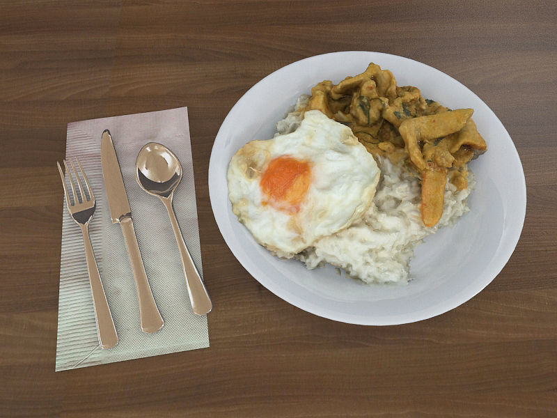Plate of Food Rice and Egg 3D model_4