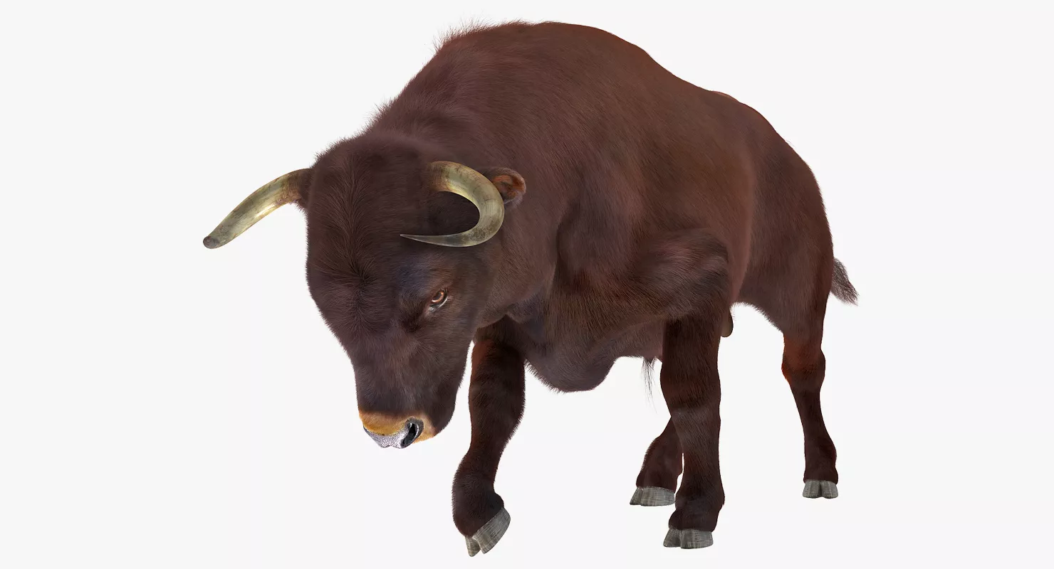 Bull Attacking Pose with Fur 3D model