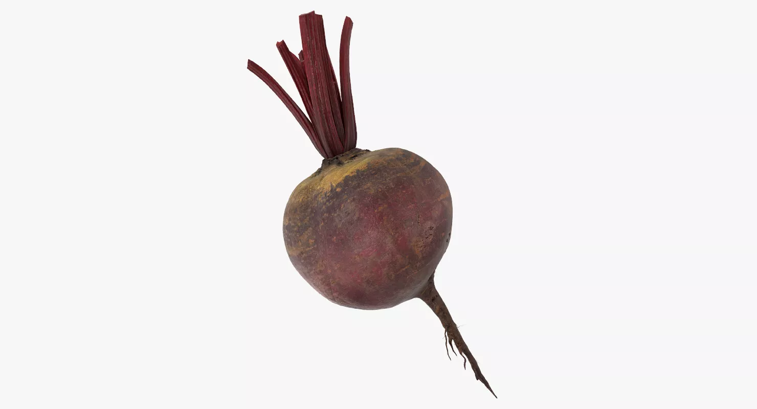 Beetroot 3D model