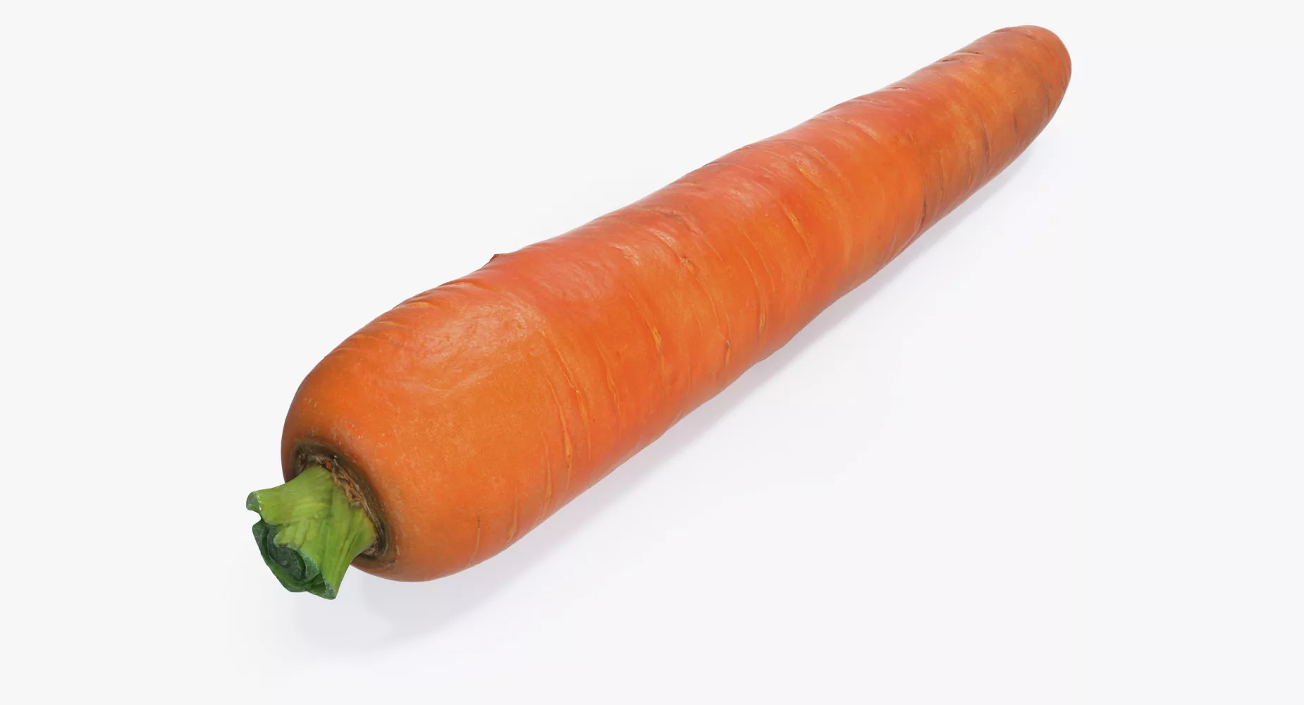 Carrot 3D model