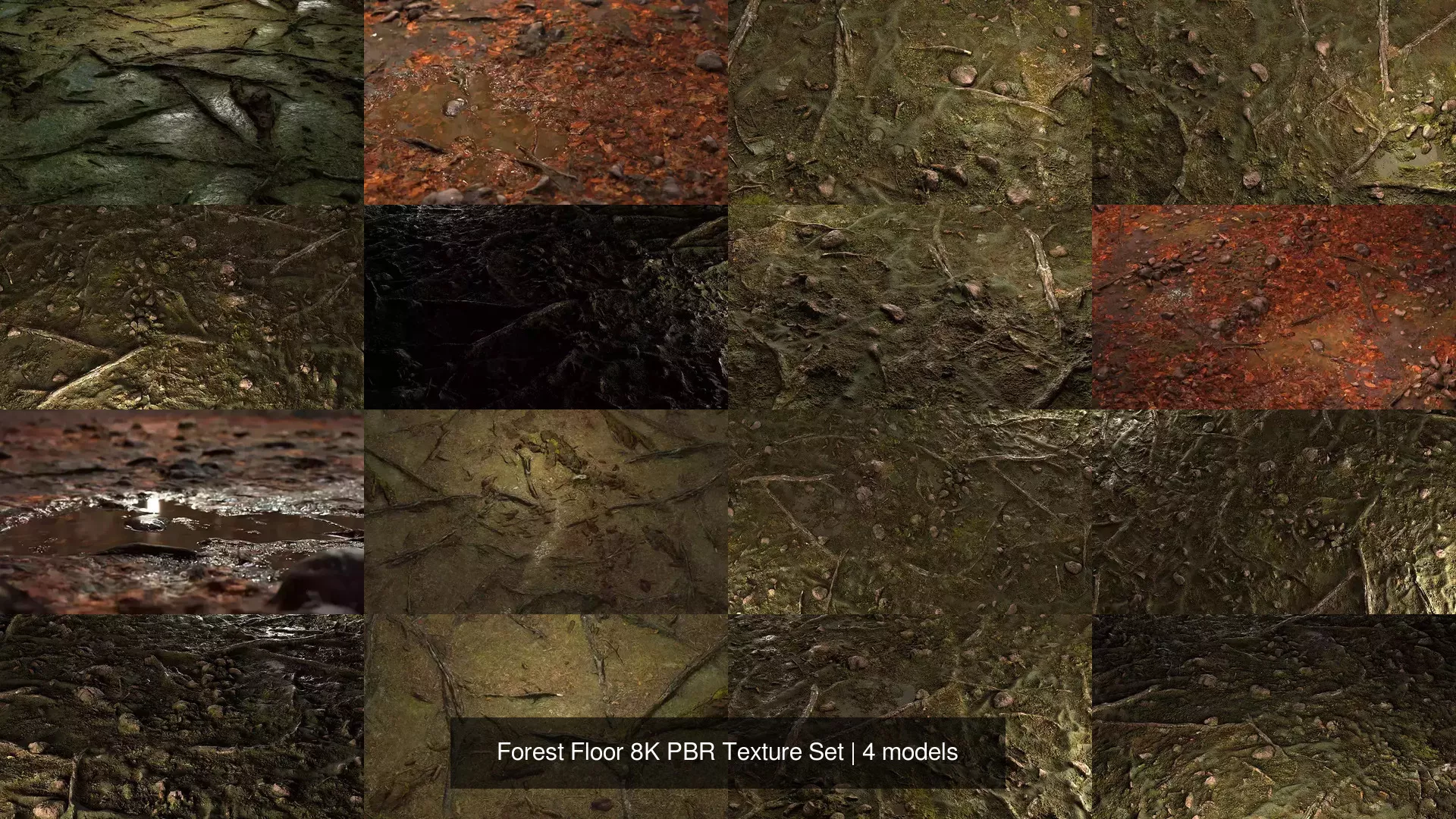 Forest Floor 8K PBR Texture Set Texture
