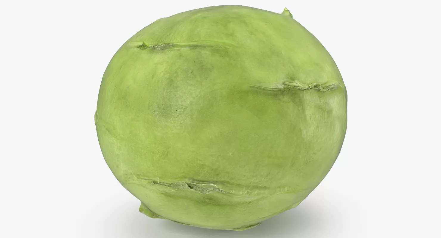 Turnip Cabbage or Kohlrabi 3D model