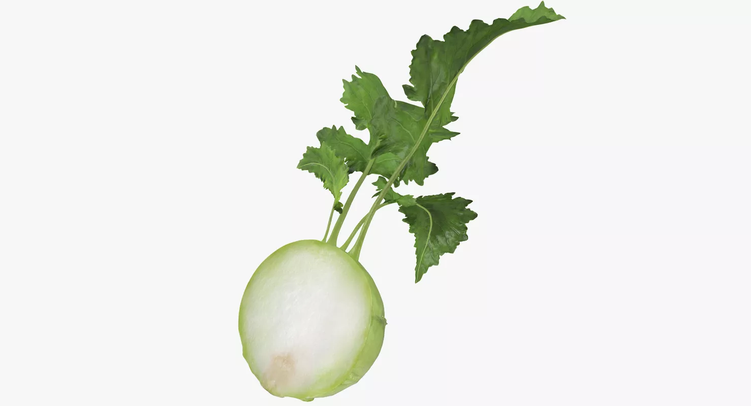Kohlrabi or German Turnip Half 3D model