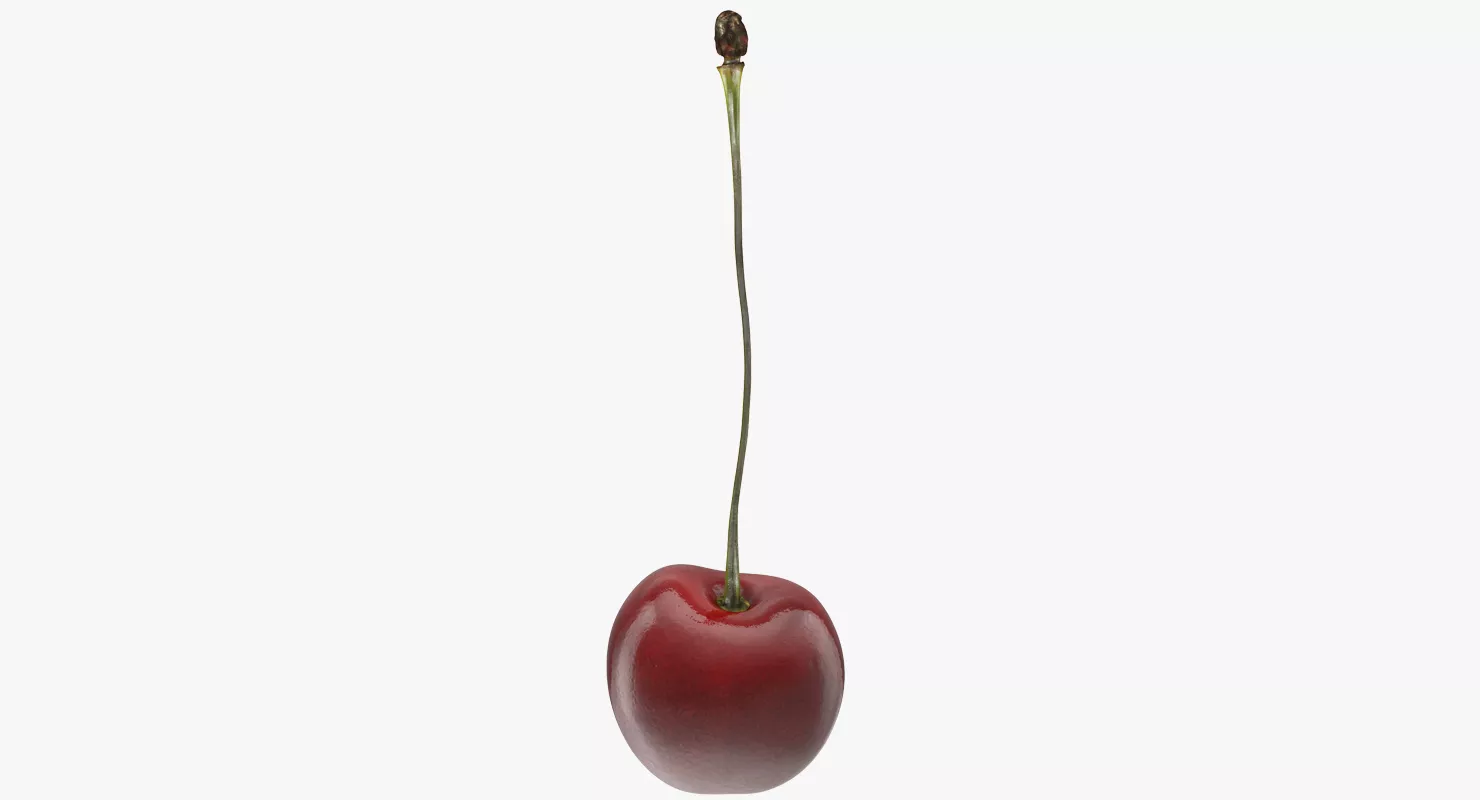 Cherry 3D model