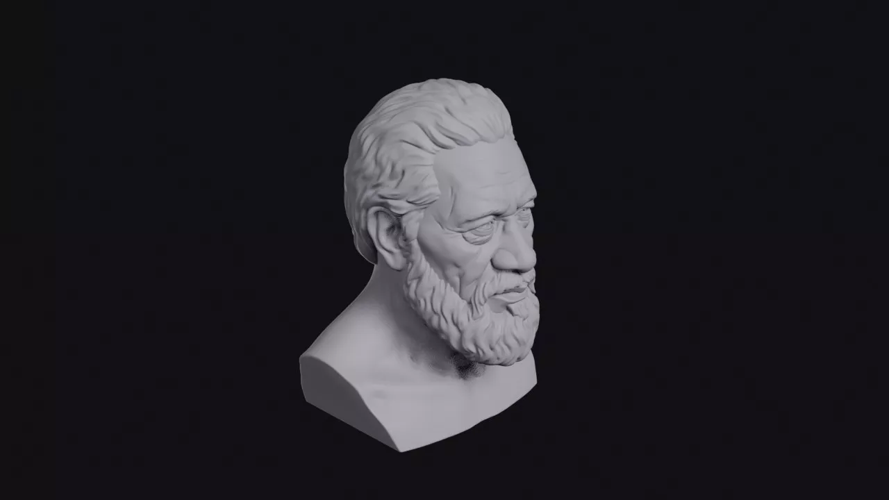 Elderly Maori Man Grey Beard Bust 3D print model