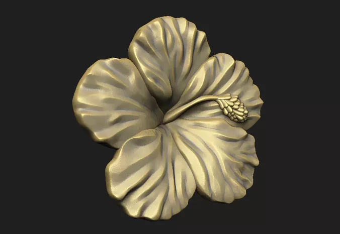hibiscus flower floral tropical petal stamen carving relief