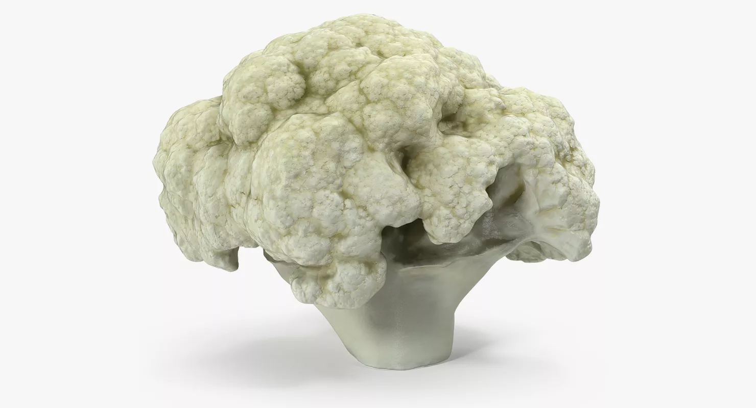 Cauliflower Piece 3D model
