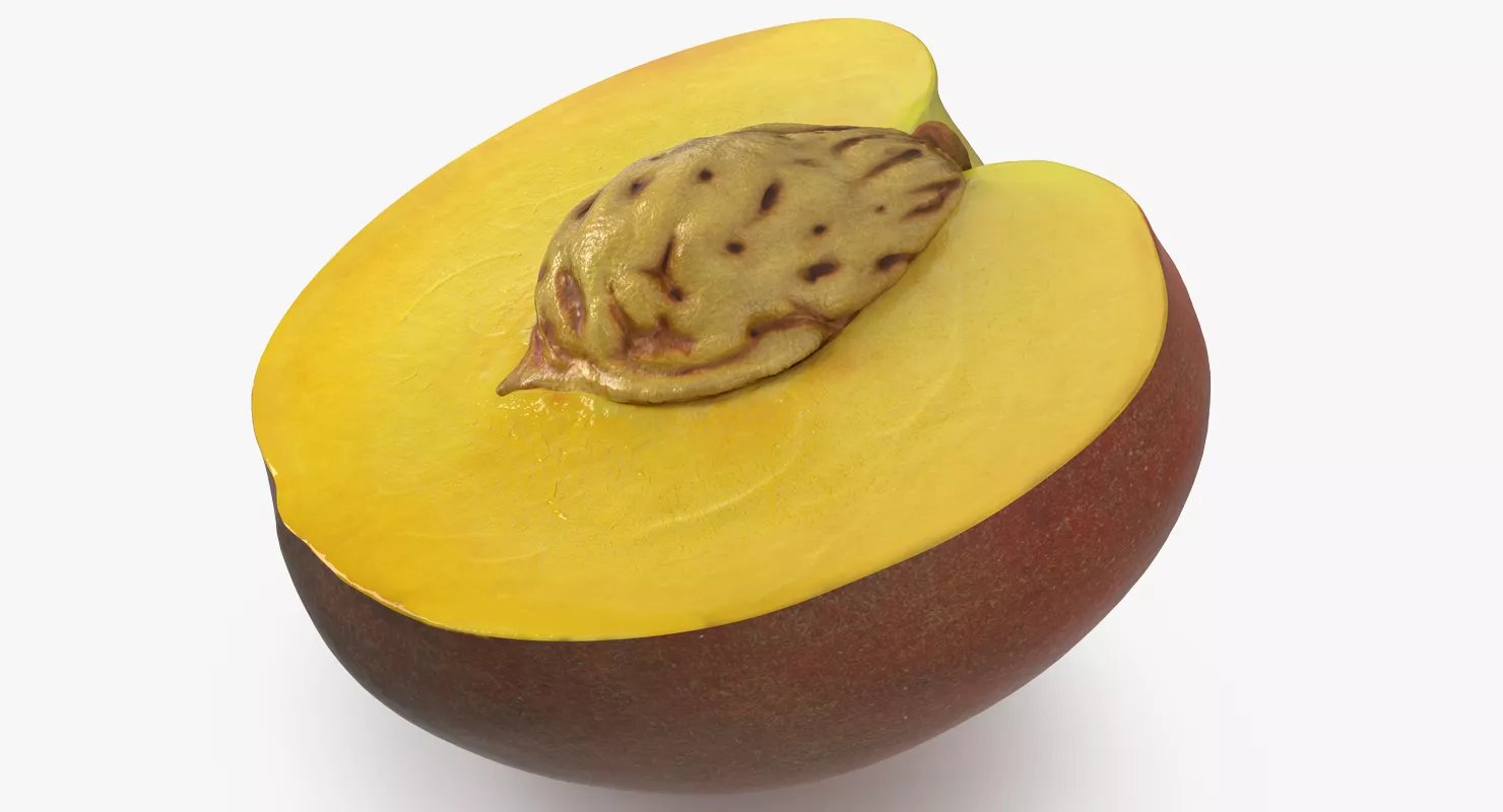 Half of Peach with Seed 3D model