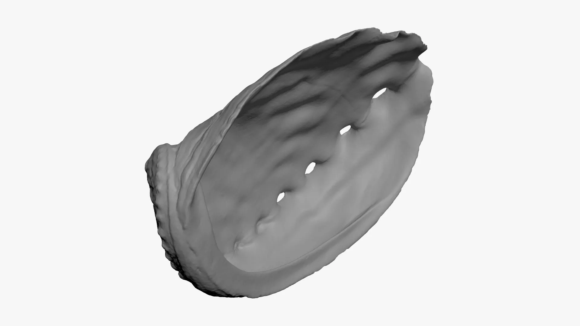 Blue Abalone Shell - For 3D Print 3D print model