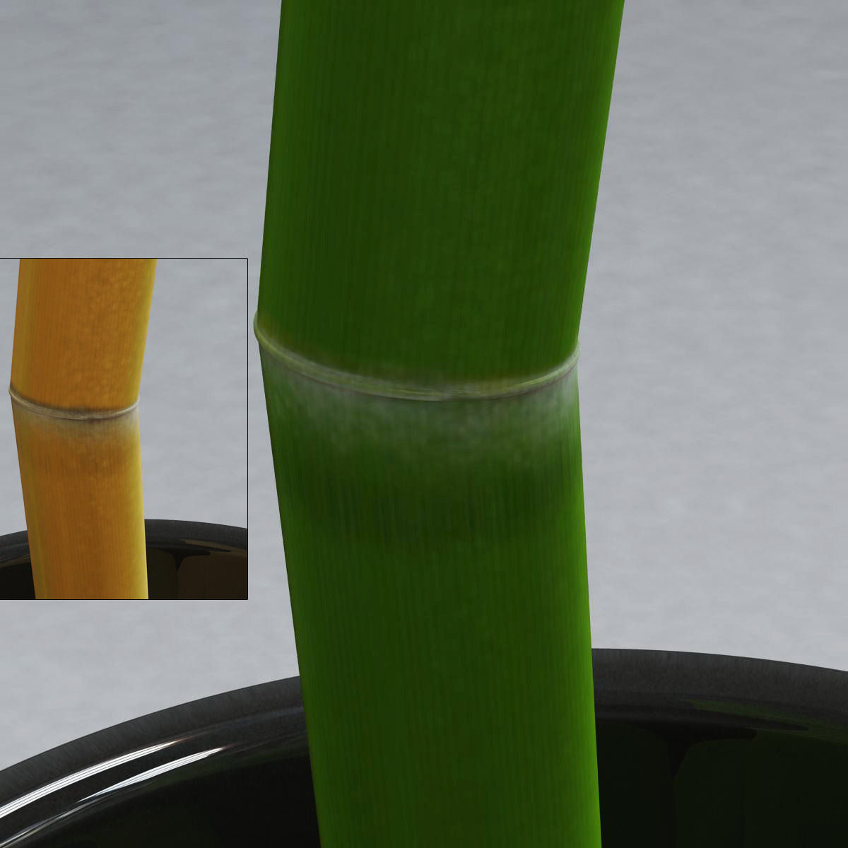 Bamboo and vase Low-poly 3D model_6