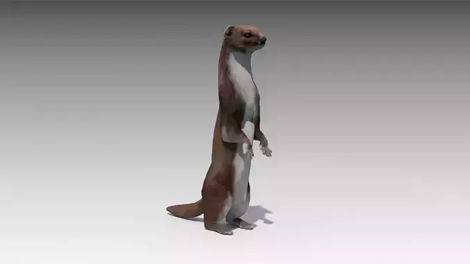 Weasel