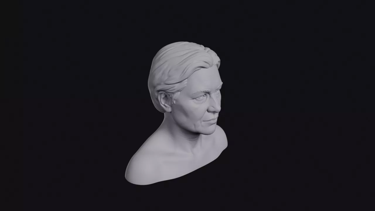 Woman With Broad Jaw Bust 3D print model