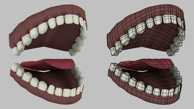 Human Mouth and half Mouth Model  Low-poly 3D model