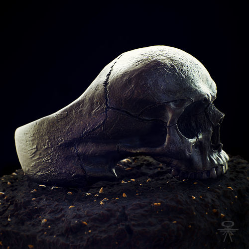 skull ring without jaw ver1 3D print model