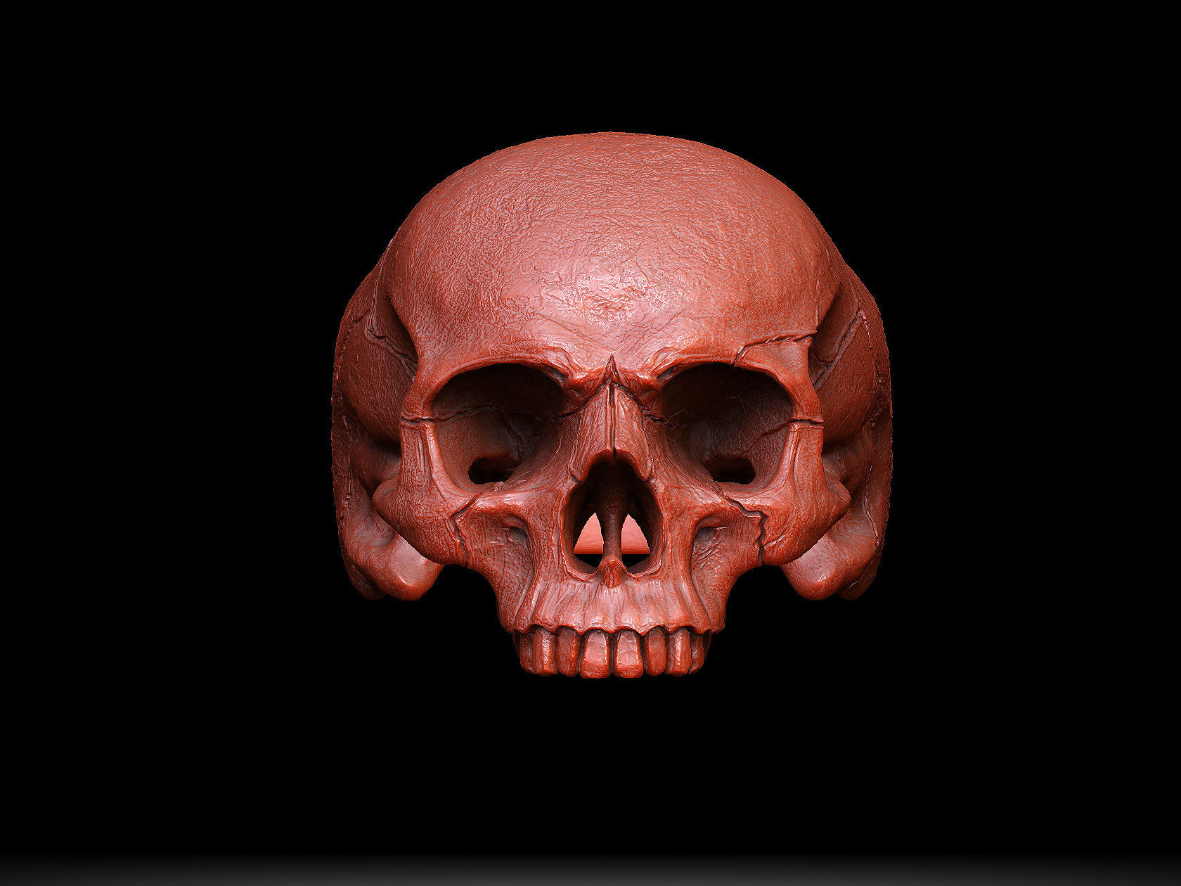 skull ring without jaw ver1 3D print model_3