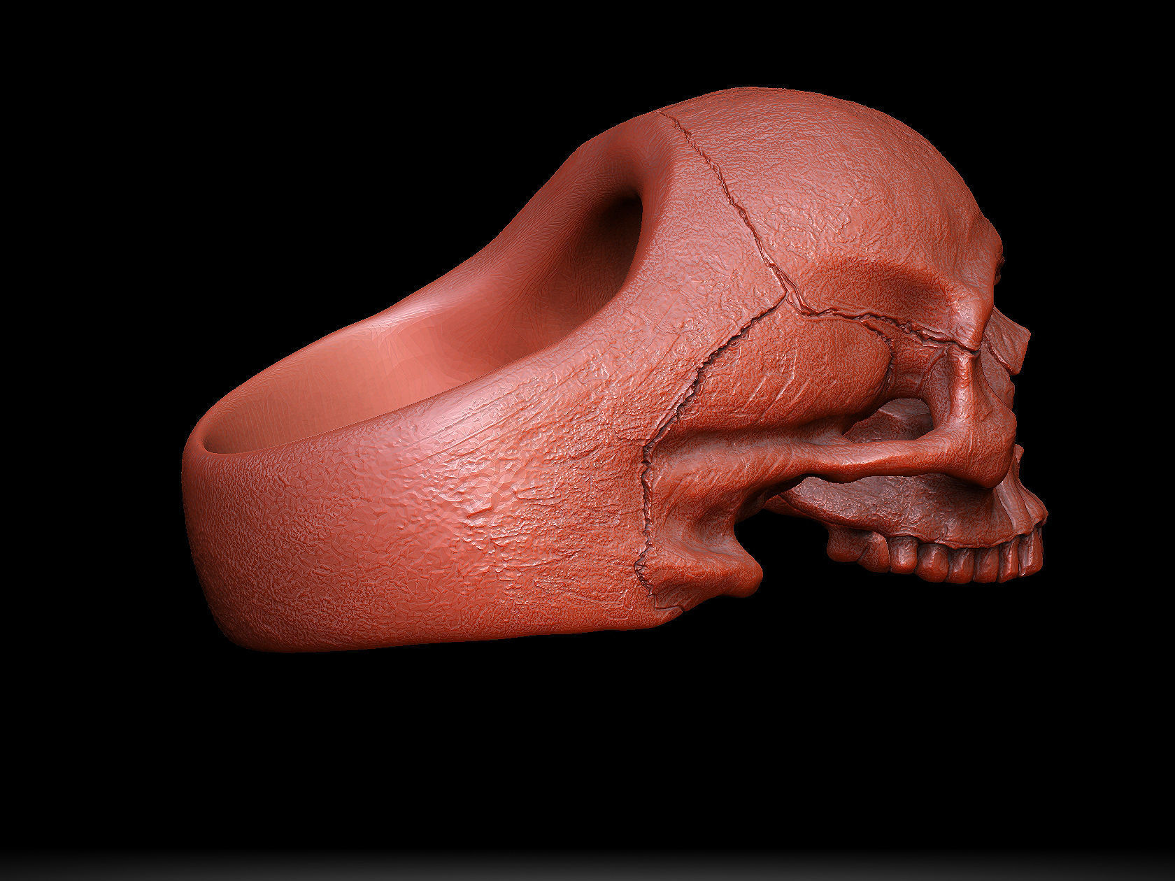 skull ring without jaw ver1 3D print model_7