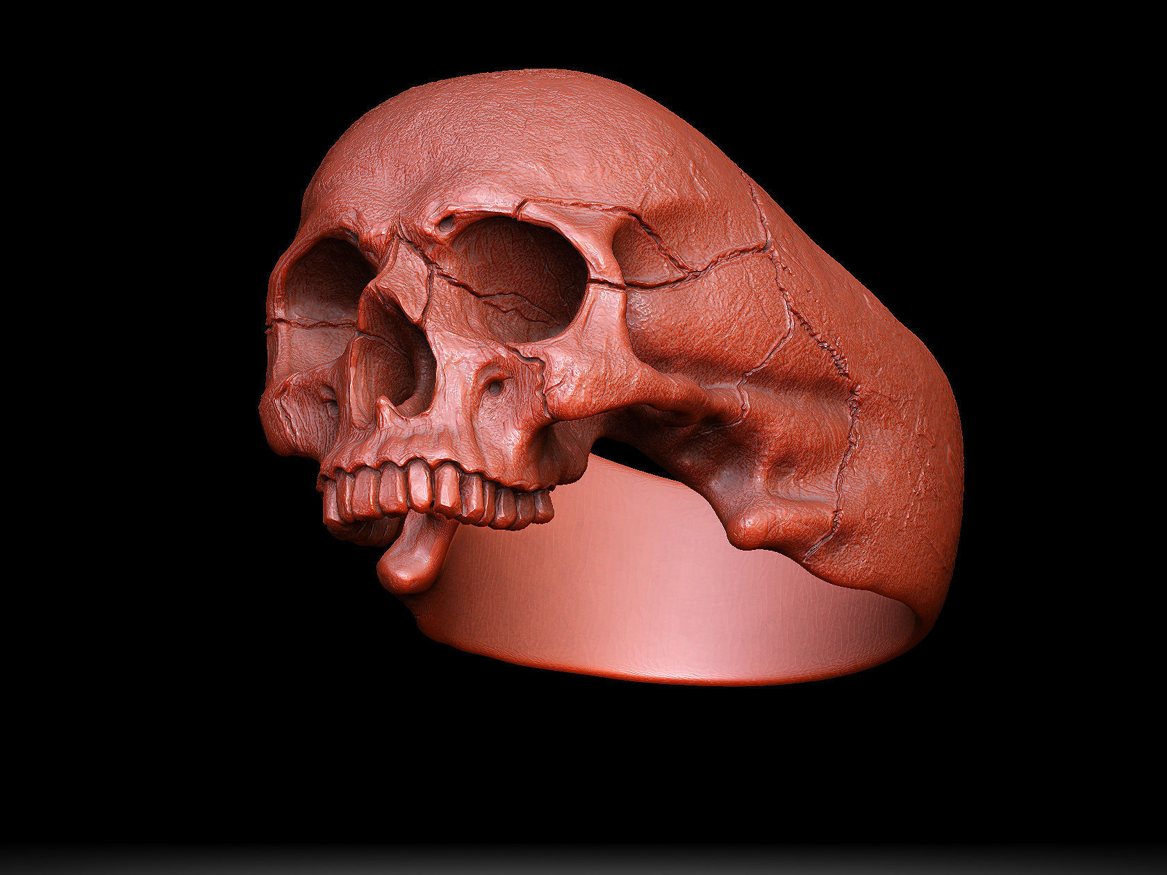 skull ring without jaw ver1 3D print model_4