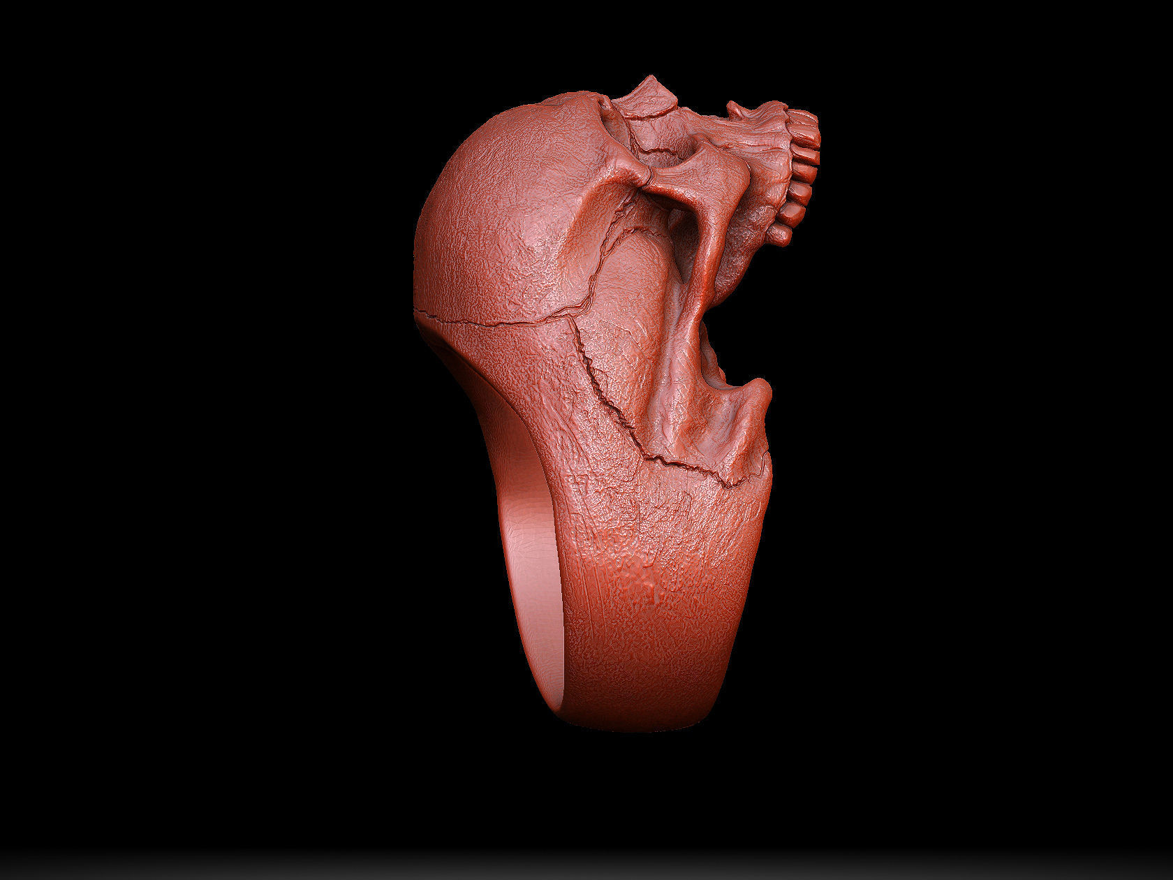 skull ring without jaw ver1 3D print model_8