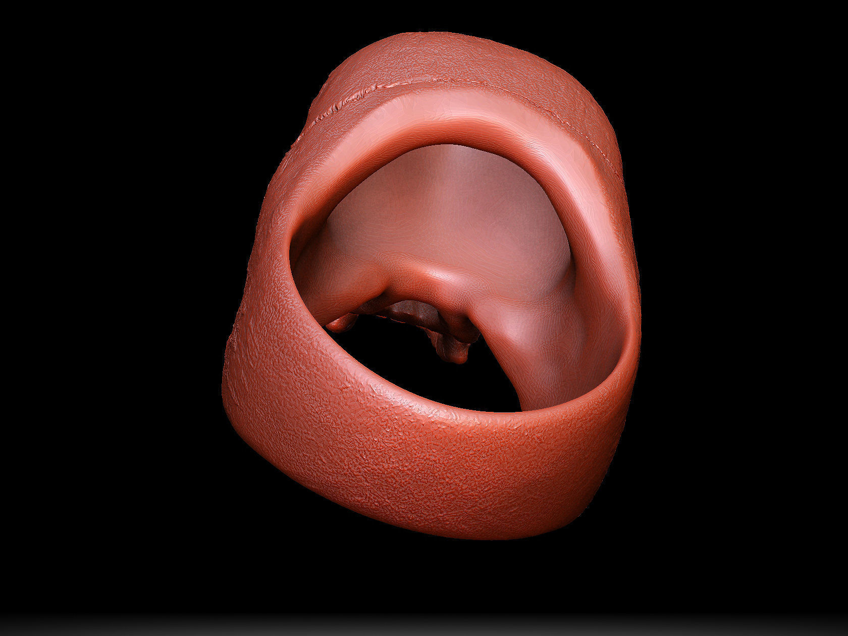 skull ring without jaw ver1 3D print model_6