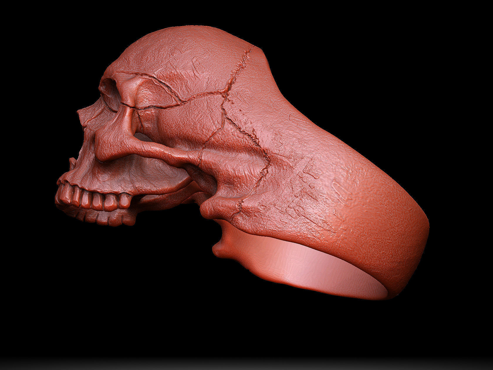 skull ring without jaw ver1 3D print model_5