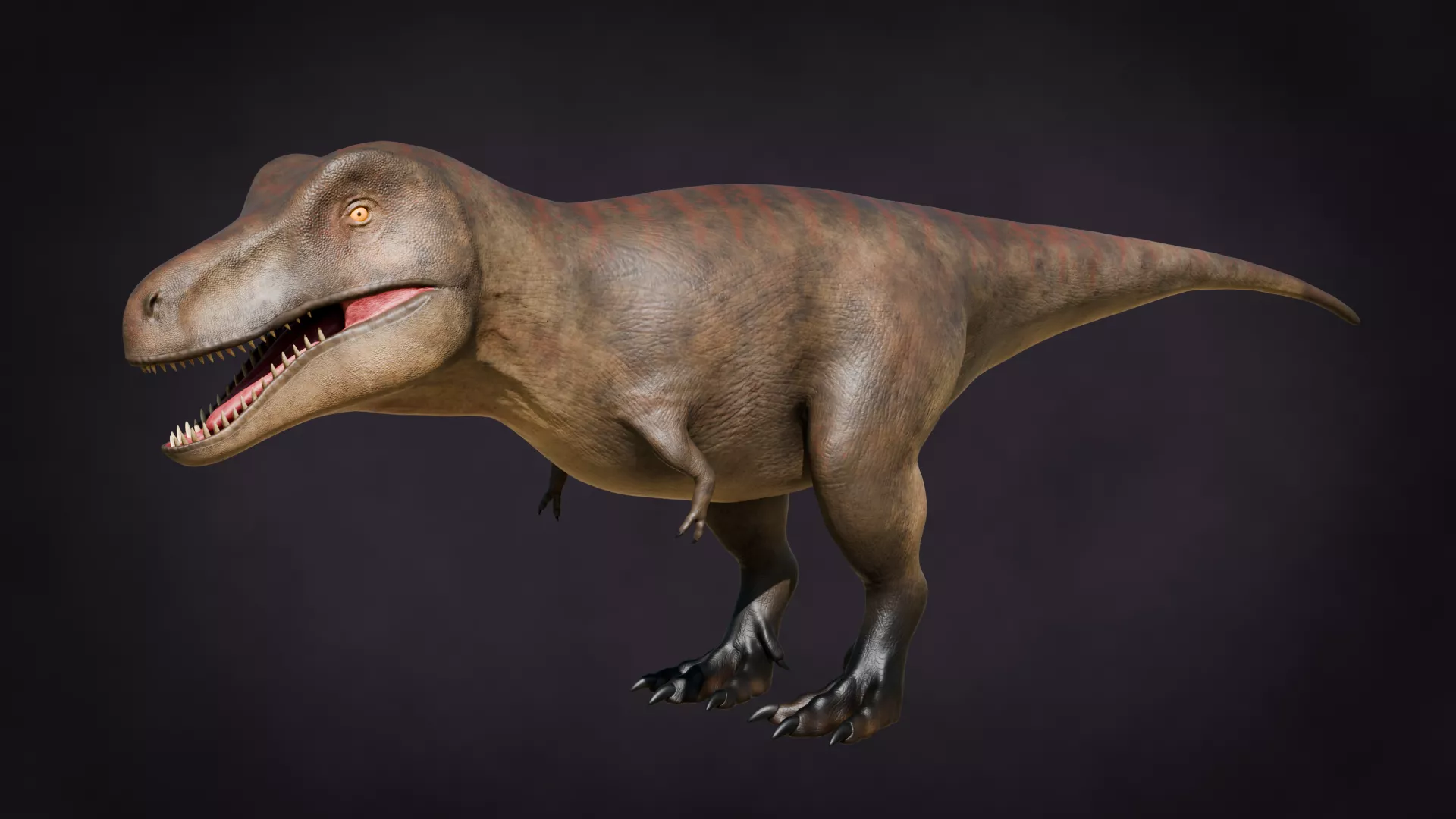T Rex 3d Model Fully Rigged Low-poly 3D model