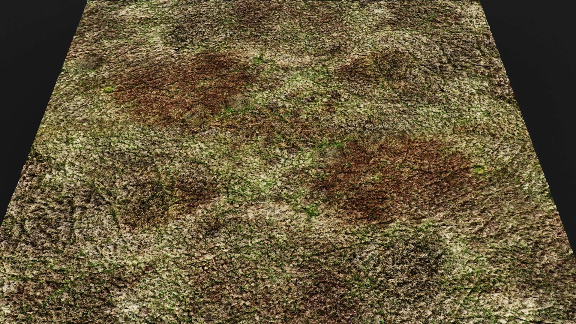 terrain ground grass bushes patch pt17 PBR photogrammetry Low-poly 3D model