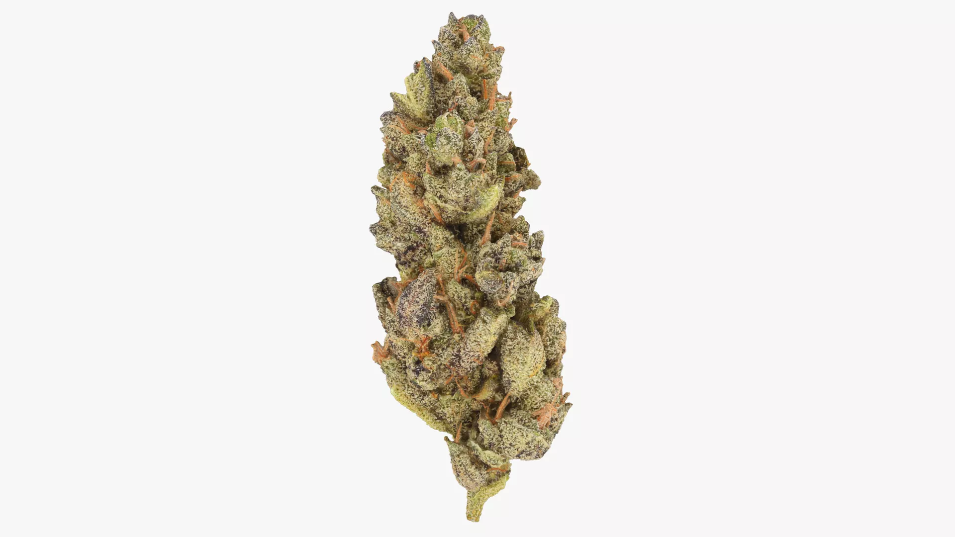 Marijuana Bud 2 3D model