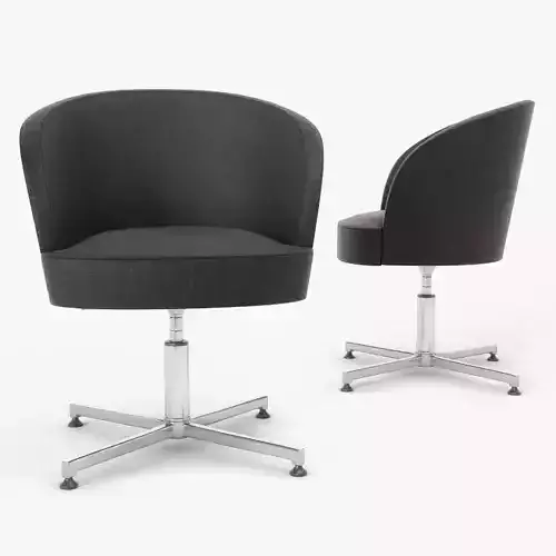 Rose 03032 - Montbel