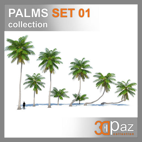 PALMS SET 01 3D model