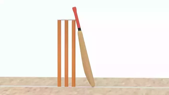 Cricket Crease Bat Stump And Bail