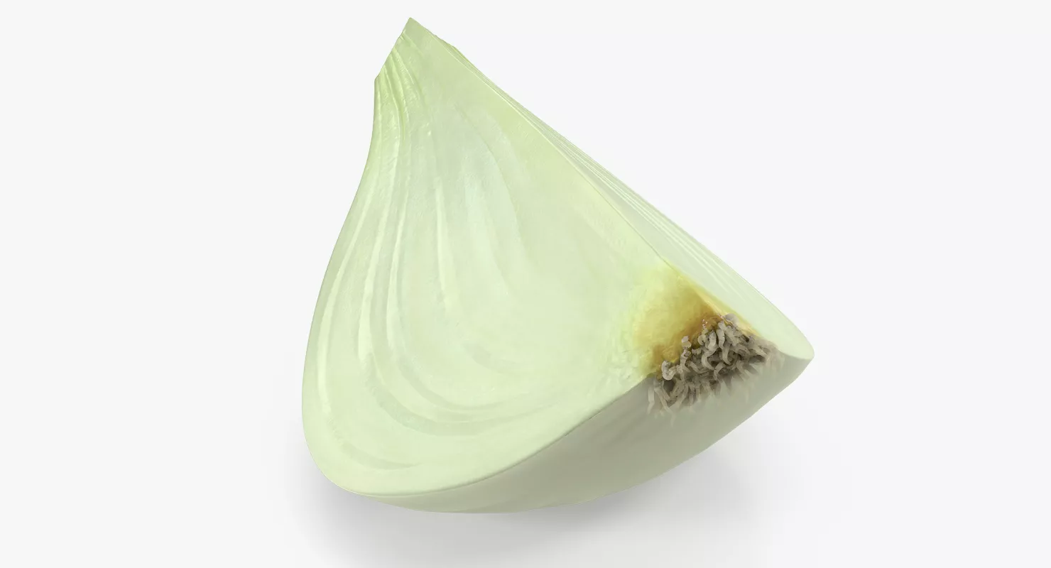 Onion Quater 3D model