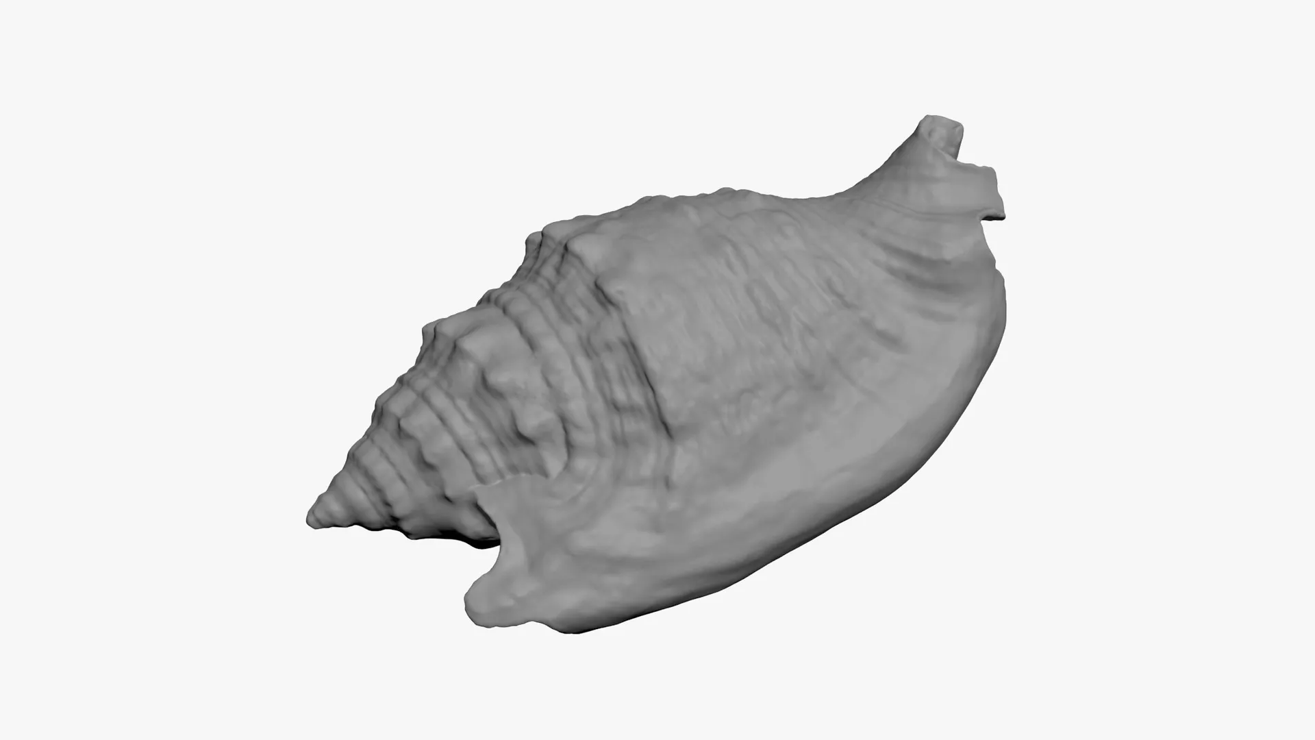 Euprotomus Aurisdianae - For 3D Print Free 3D print model