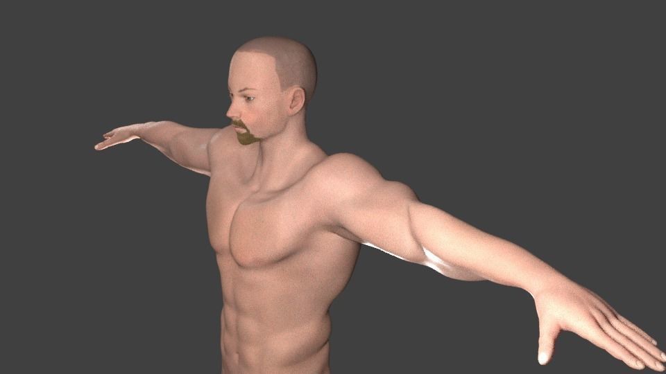 Bearded male basemesh 3D model_9