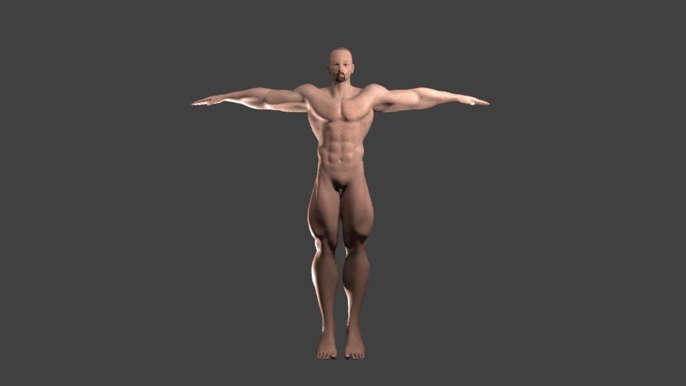Bearded male basemesh 3D model_6