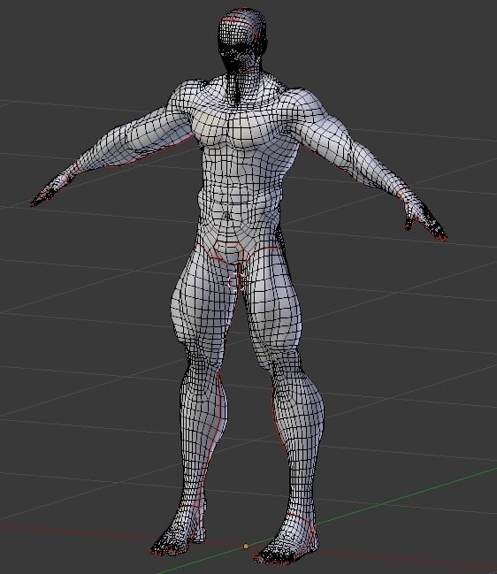 Bearded male basemesh 3D model_3