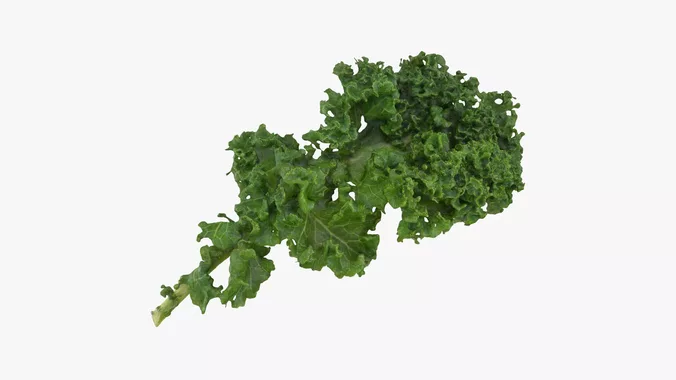 Realistic Kale