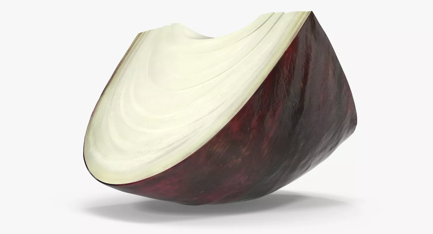 Red Onion Cross Section 3D model