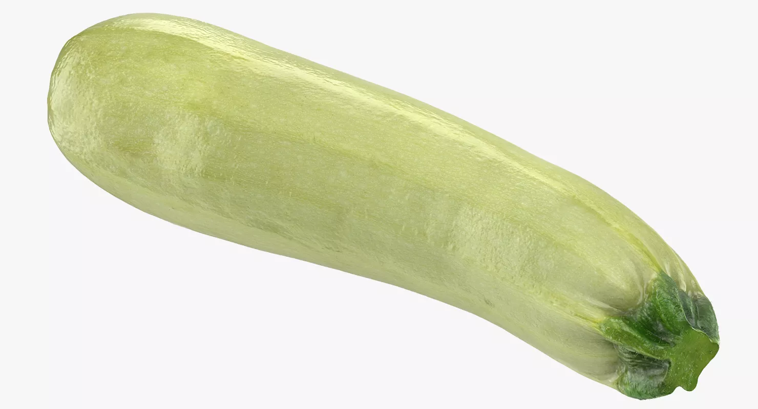 Summer Squash Gray Zucchini 3D model