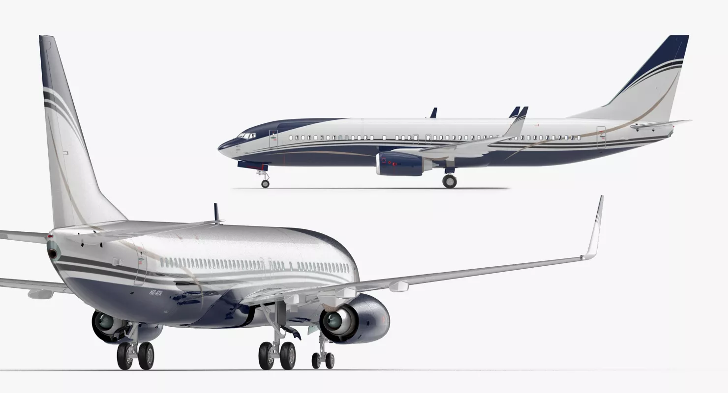 Boeing 737 800 with Interior Generic Rigged 3D model