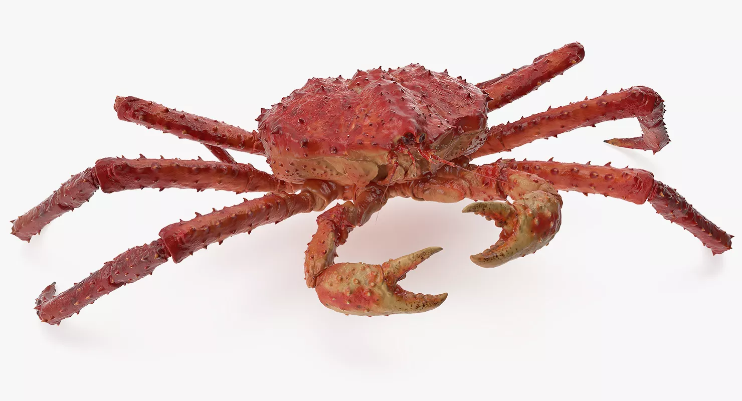 Red King Crab Rigged 3D model
