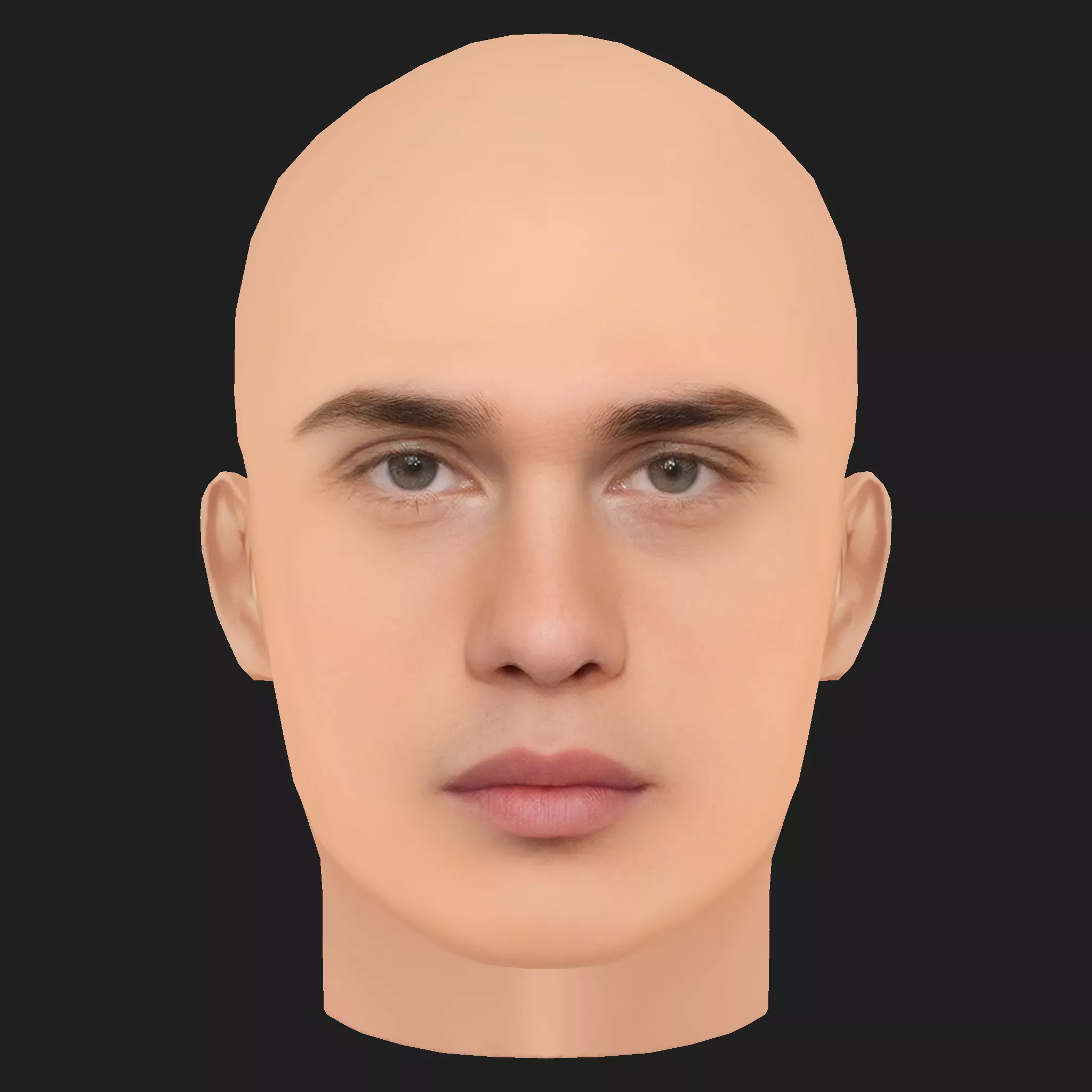 Low Poly Nicholas Galitzine Head Low-poly 3D model
