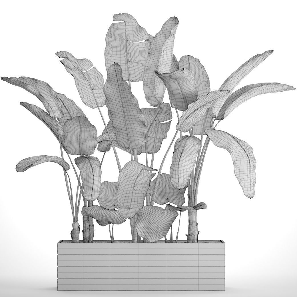 Banana Tree set 4 3D model_6