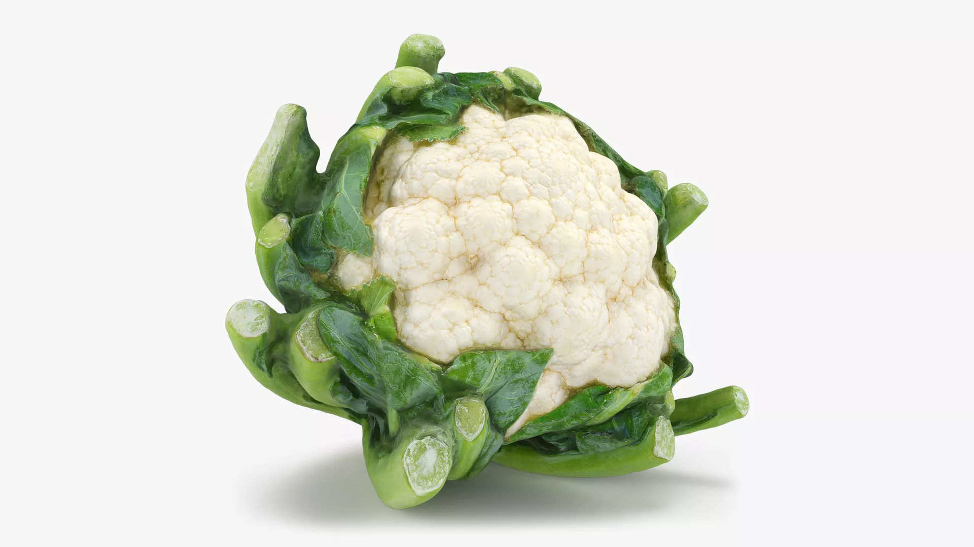 Cauliflower Low-poly 3D model